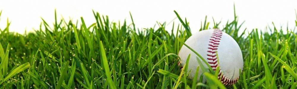 All Gloves Elegant store -All Gloves Elegant store Document