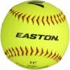 Easton 11in Soft Core Softball || SINGLE -All Gloves Elegant store stb11y 1